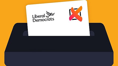 imagfe of voting for lib dems