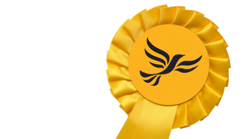 Lib Dem Rosette.