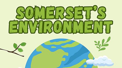 Somerset's Environment Poster